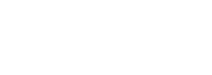 UPV Logo